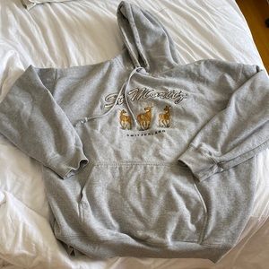 Brandy Melville St Moritz hoodie
